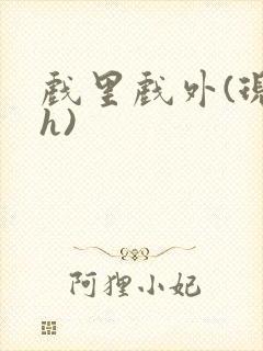 戏里戏外(现场h)