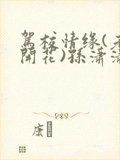 驾校情缘(老树开花)孙潇潇第一次趣笔阁