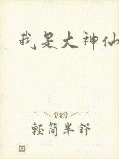 我是大神仙小说