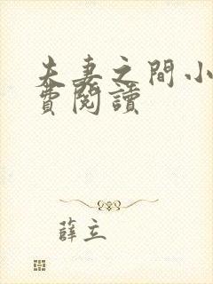 夫妻之间小说免费阅读封面