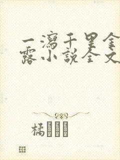 一泻千里金银花露小说全文免费阅读