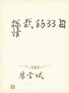 总裁的33日索情封面