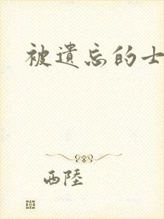 被遗忘的士兵