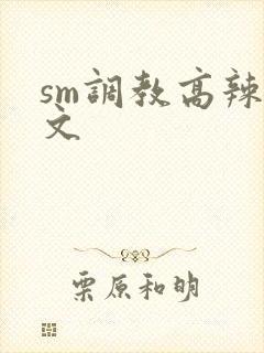 sm调教高辣h文封面