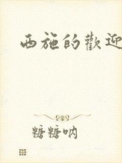 西施的欢迎会封面