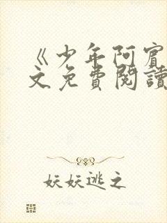 《少年阿宾》全文免费阅读