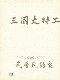 三国大特工封面