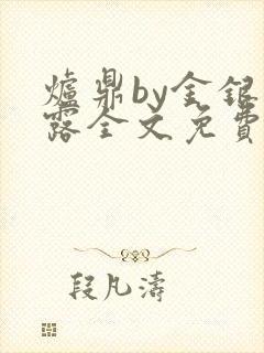 炉鼎by金银花露全文免费阅读笔趣阁