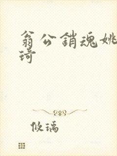 翁公销魂姚瑶琦琦封面