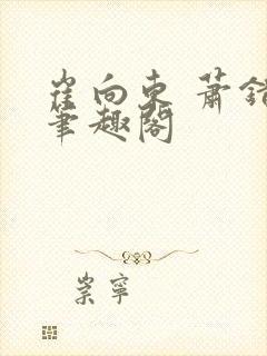 崔向东 萧错 笔趣阁