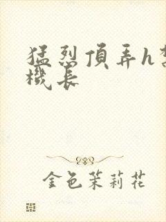 猛烈顶弄h禁欲机长