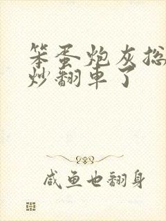 笨蛋炮灰总被爆炒翻车了封面