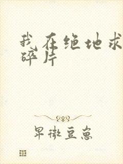 我在绝地求生捡碎片