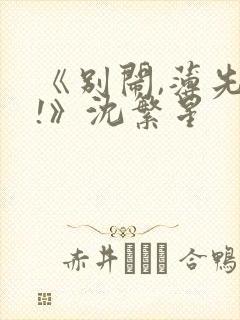 《别闹,薄先生!》沈繁星