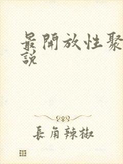 最开放性聚会小说封面