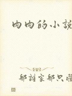 肉肉的小说