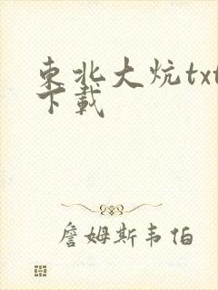 东北大炕txt下载