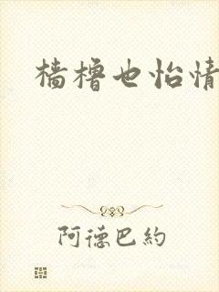 樯橹也怡情封面