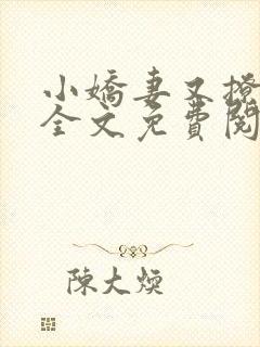 小娇妻又撩又甜全文免费阅读