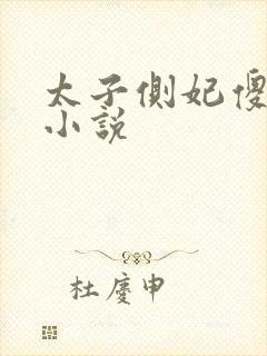 太子侧妃傻乎乎小说