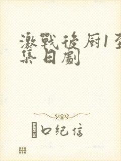 激战后厨1至5集日剧