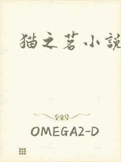 猫之茗小说