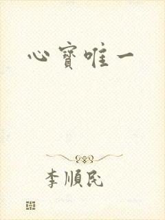 心宝唯一封面
