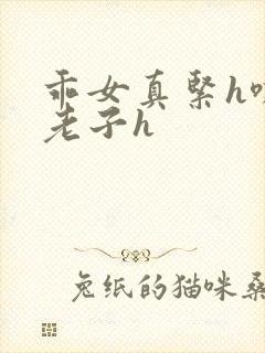 乖女真紧h嘶爽老子h封面