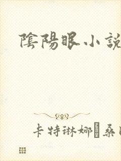 阴阳眼小说封面