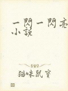 一闪一闪亮星星小说