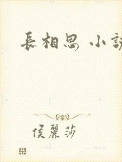 长相思 小说