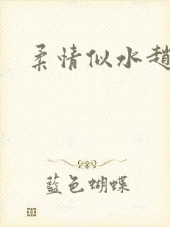 柔情似水赵雅儿封面