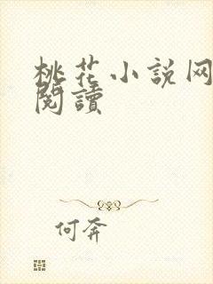 桃花小说网小说阅读