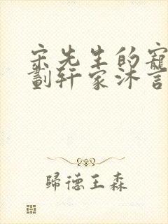 宋先生的宠妻计划轩家沐言封面