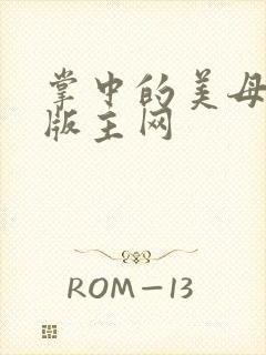 掌中的美母第一版主网