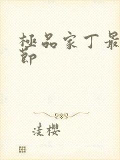 极品家丁最新章节