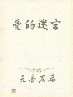 爱的迷宫