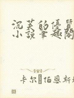 沉芙的优质攻略小说笔趣阁