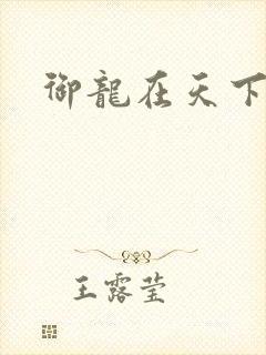 御龙在天下载封面