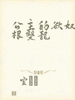 公主的欲奴h四根双龙封面