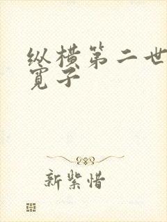纵横第二世界 宽子