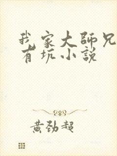 我家大师兄脑子有坑小说