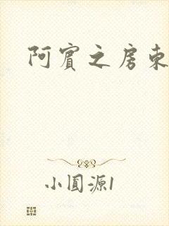 阿宾之房东太太