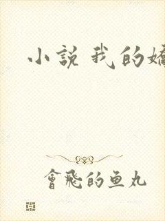 小说 我的娇妻