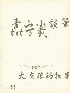 青山小说笔趣阁txt下载