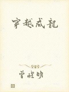 穿越成龙