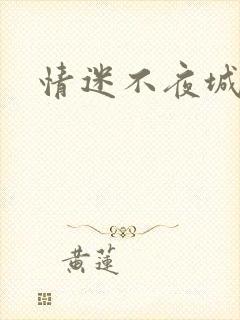 情迷不夜城
