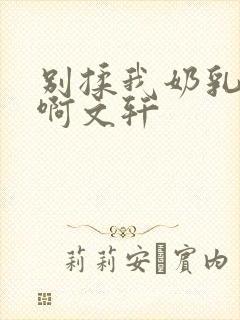 别揉我奶乳嗯～啊文轩封面