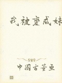我被变成妹了封面