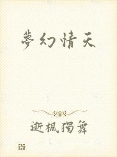 梦幻情天封面